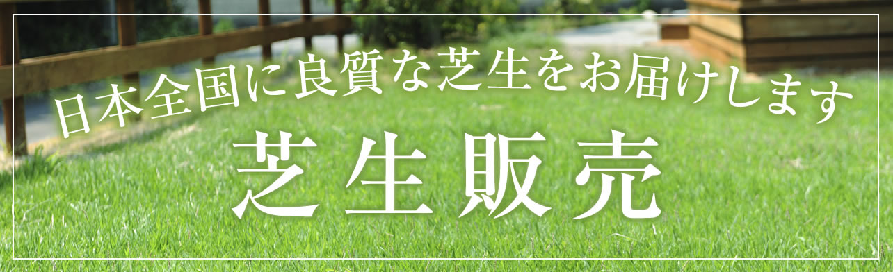 日本全国に良質な芝生をお届けします 芝生販売